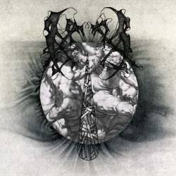 The Beauty of Reason